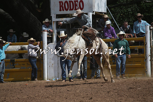 TaralgaRodeo2016_7359