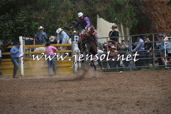 TaralgaRodeo2016_7175