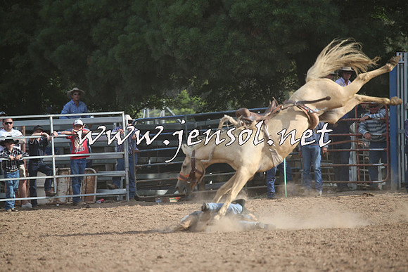 TaralgaRodeo2016_8724