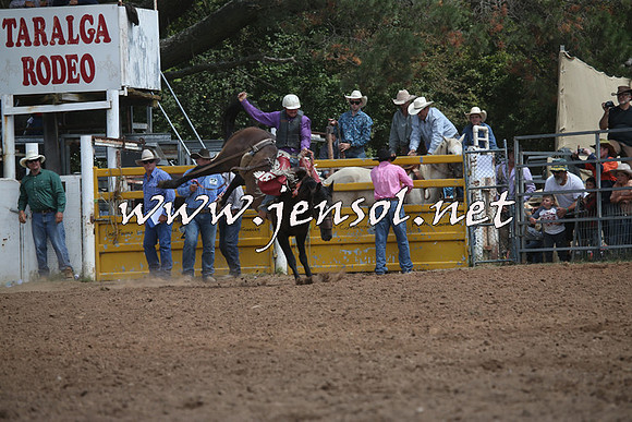 TaralgaRodeo2016_7158