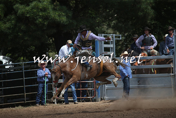 TaralgaRodeo2016_7120