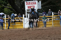 TaralgaRodeo2016_5555