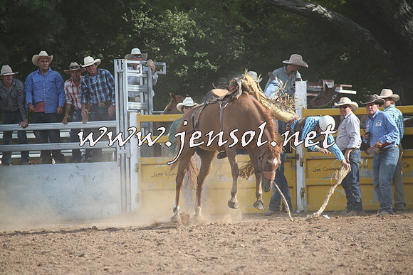TaralgaRodeo2016_8794