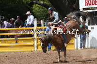 TaralgaRodeo2016_5539