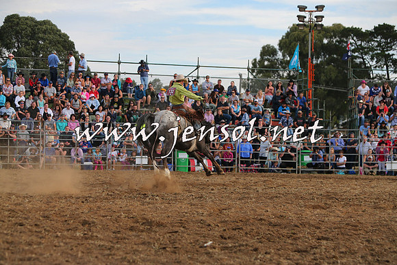 QueanbeyanRodeo2015_3814