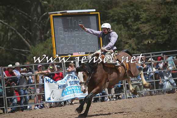 TaralgaRodeo2016_7295