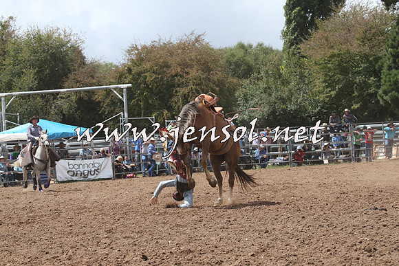 TaralgaRodeo2016_5547