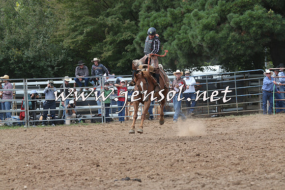 TaralgaRodeo2016_5683