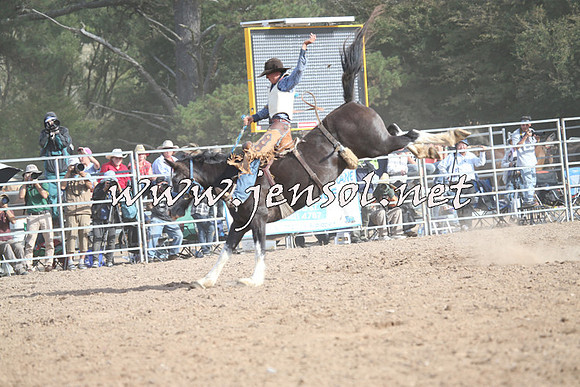 TaralgaRodeo2016_8858