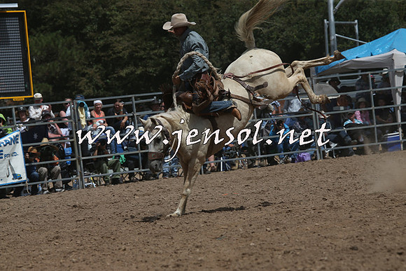 TaralgaRodeo2016_7382