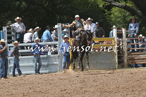 TaralgaRodeo2016_5641