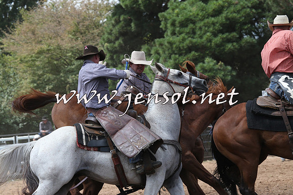 TaralgaRodeo2016_5635