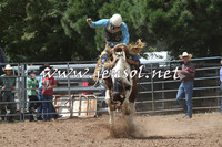TaralgaRodeo2016_5507