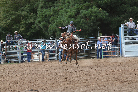 TaralgaRodeo2016_5691