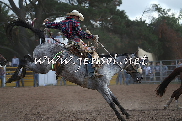 TaralgaRodeo2016_8936