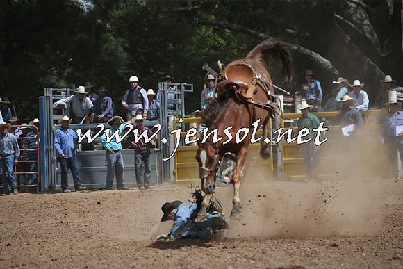 TaralgaRodeo2016_7253