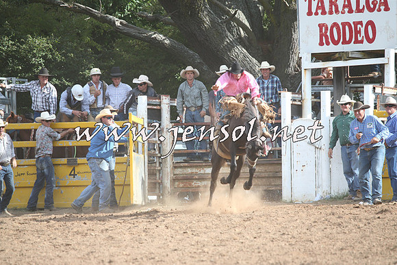 TaralgaRodeo2016_8738