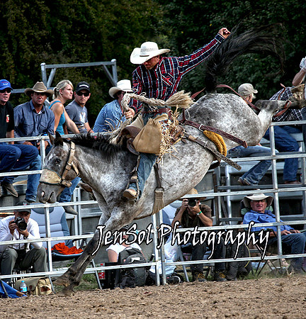 Saddle_8880