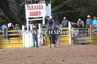 TaralgaRodeo2016_5553