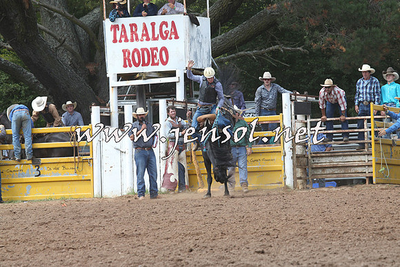 TaralgaRodeo2016_5553