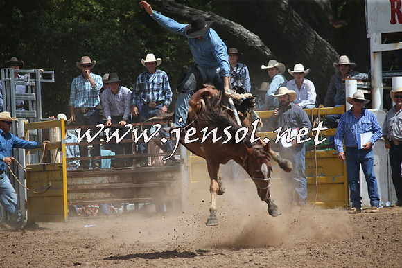 TaralgaRodeo2016_7226