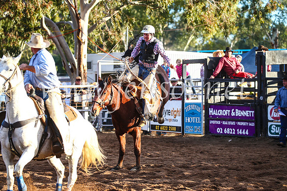 CoonambleRodeoCampdraftSun_4824