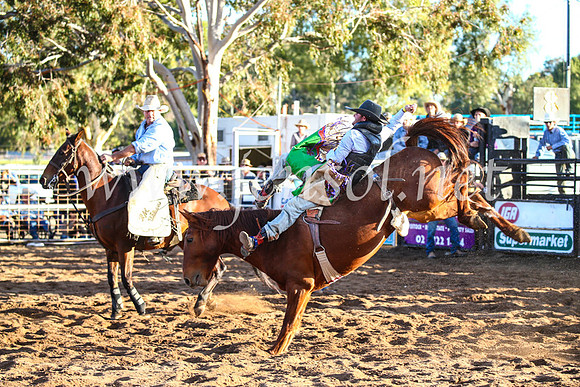 CoonambleRodeoCampdraftSun_4611