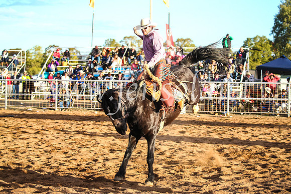 CoonambleRodeoCampdraftSun_4964