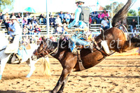 CoonambleRodeoCampdraftSun_4133