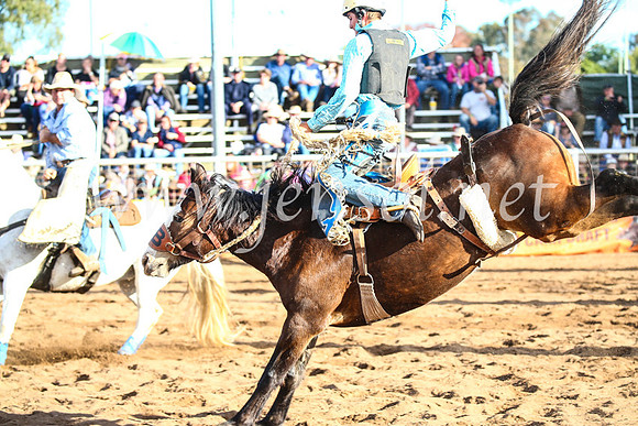 CoonambleRodeoCampdraftSun_4133