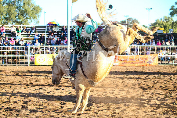 CoonambleRodeoCampdraftSun_4552