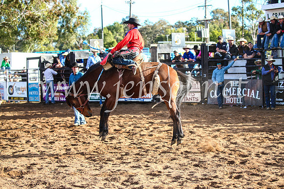 CoonambleRodeoCampdraftSun_4207