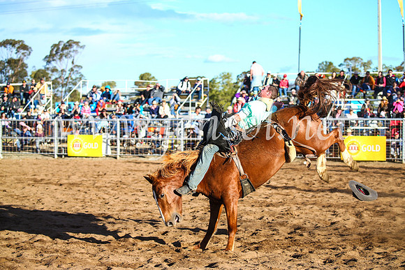CoonambleRodeoCampdraftSun_4681