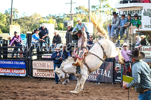 CoonambleRodeoCampdraftSun_4989