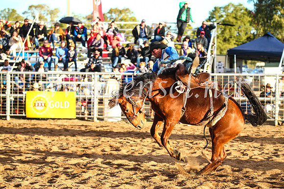 CoonambleRodeoCampdraftSun_4970
