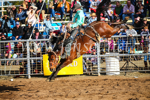 CoonambleRodeoCampdraftSun_4295