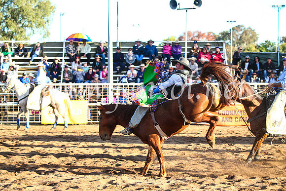 CoonambleRodeoCampdraftSun_4618