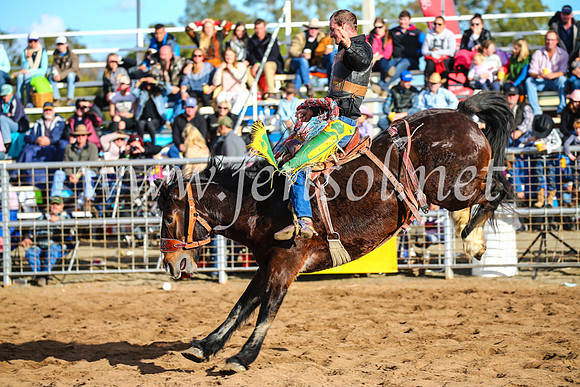 CoonambleRodeoCampdraftSun_4261