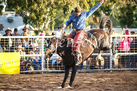 CoonambleRodeoCampdraftSun_4890