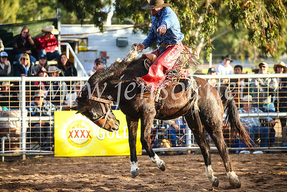 CoonambleRodeoCampdraftSun_4889