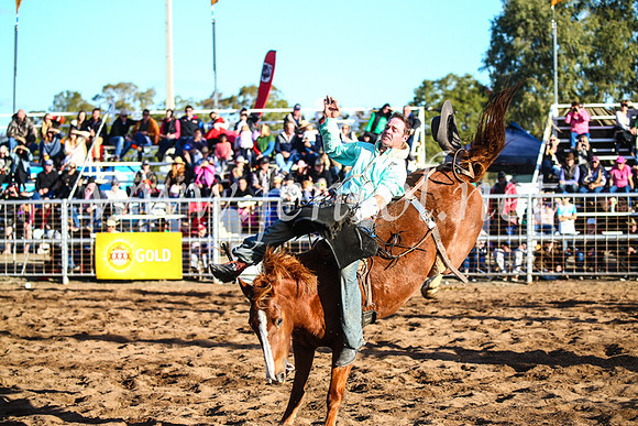 CoonambleRodeoCampdraftSun_4657