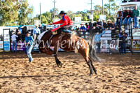 CoonambleRodeoCampdraftSun_4208