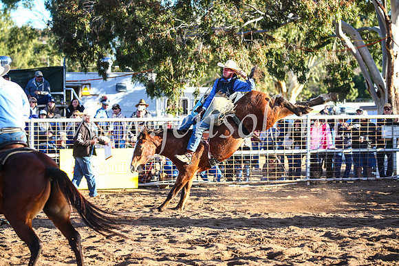 CoonambleRodeoCampdraftSun_4434