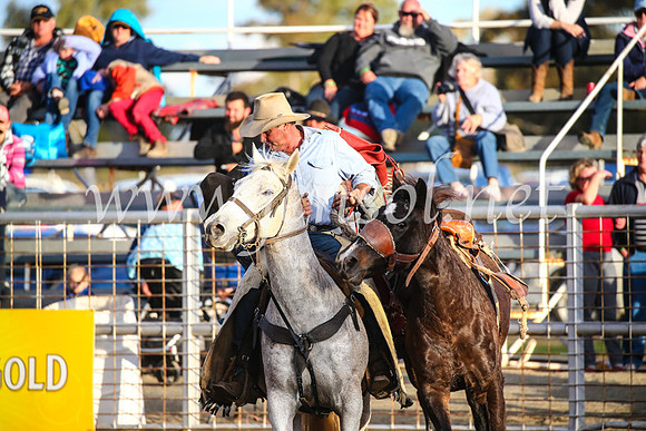 CoonambleRodeoCampdraftSun_4917