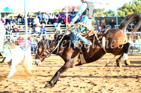 CoonambleRodeoCampdraftSun_4134