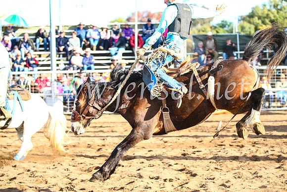 CoonambleRodeoCampdraftSun_4134