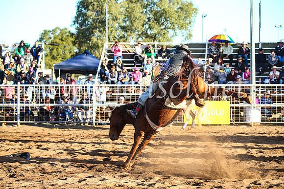 CoonambleRodeoCampdraftSun_4635