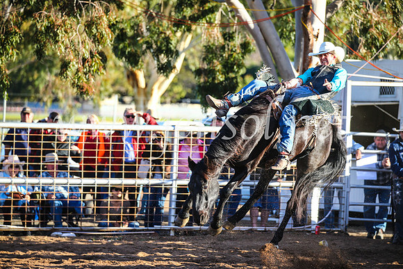 CoonambleRodeoCampdraftSun_4498