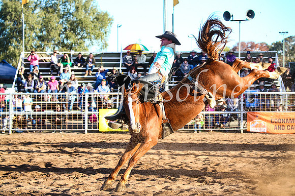 CoonambleRodeoCampdraftSun_4662