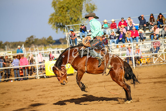 CoonambleRodeoCampdraftSun_4327